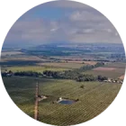 Campo_Aculeo_Olave